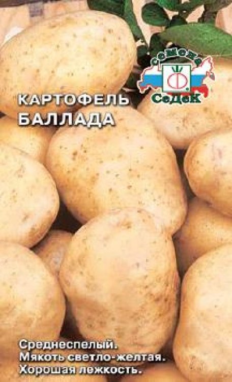 Картофель Баллада 