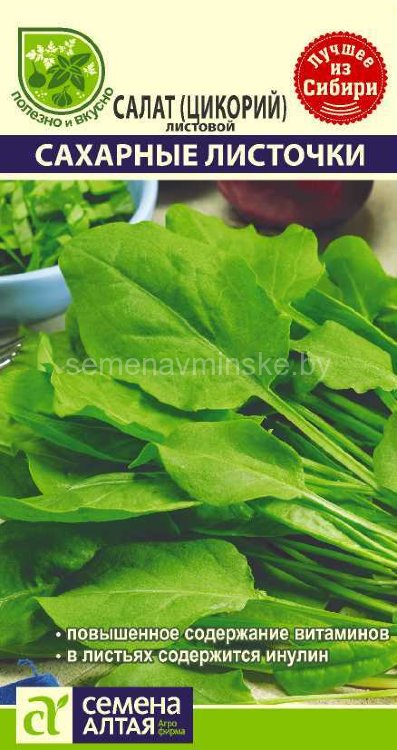 Салат Цикорий листовой Сахарные листочки