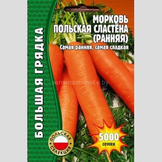Морковь Польская Сластена Ранняя