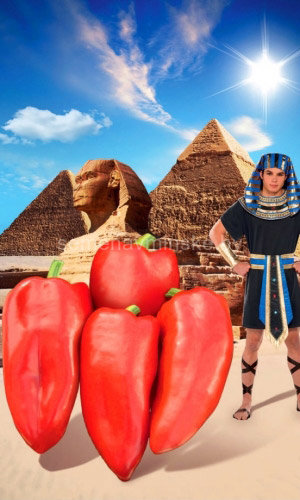 Перец Египетская Сила