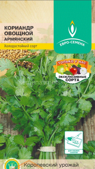 Семена Кориандр "Армянский" овощной