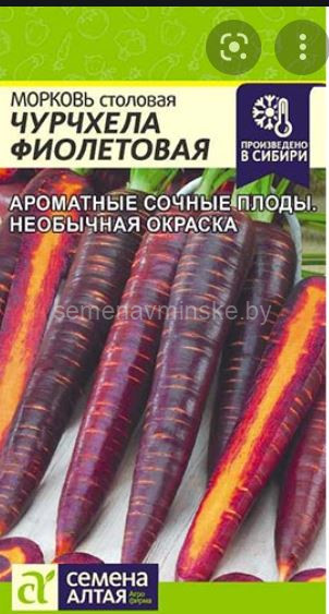 Морковь Чурчхела Фиолетовая