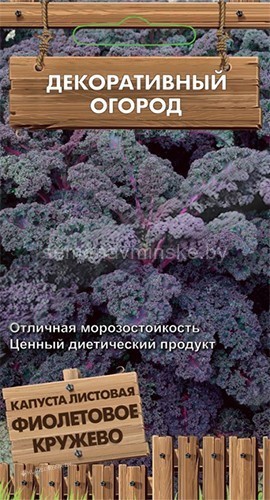 Капуста листовая Фиолетовое Кружево