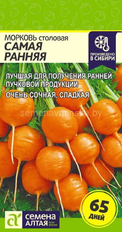 Морковь Самая Ранняя