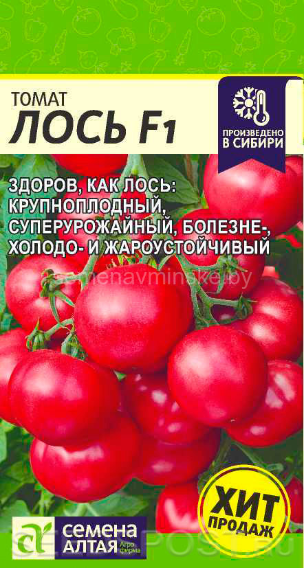 Купить семена почтой Минск