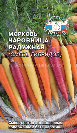 Морковь Чаровница Радужная 