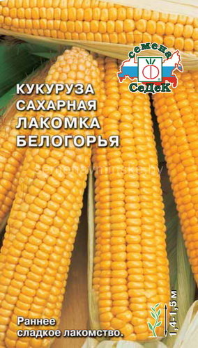 Кукуруза Лакомка Белогорья
