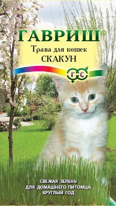 Газонная трава Скакун (для кошек)