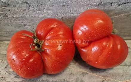 Томат Гигантский Итальянский Гамбургер