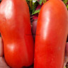 Томат Фляга