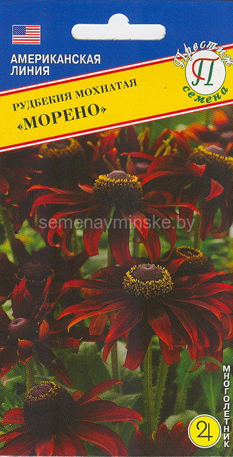 семена цветов купить в минске