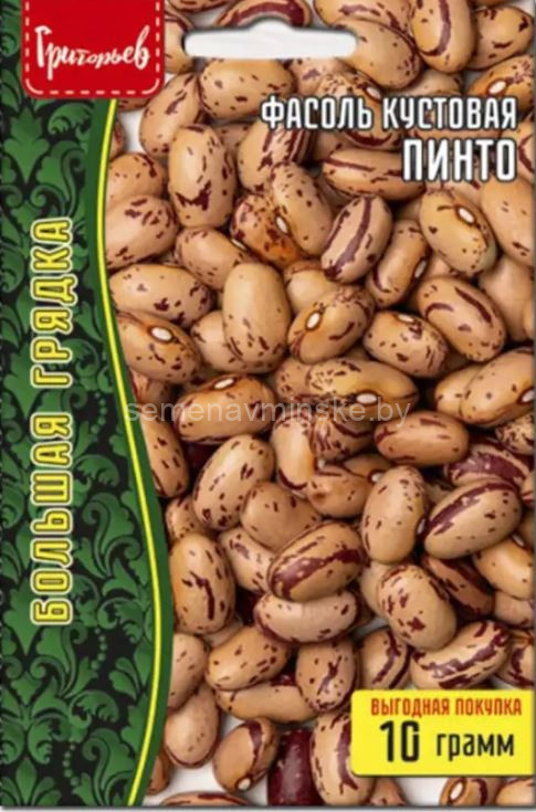 Фасоль Пинто