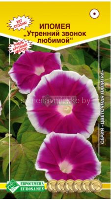 Ипомея Утренний Звонок Любимой
