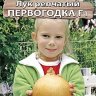 Лук репчатый Первогодка F1 