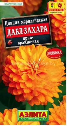 Цинния Дабл  Захара Ярко - Оранжевая 