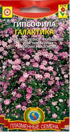 Гипсофила Галактика
