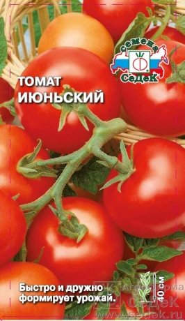 Томат Июньский