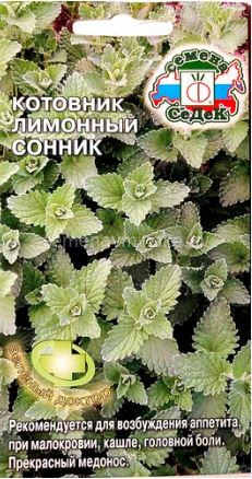 Котовник Сонник лимонный