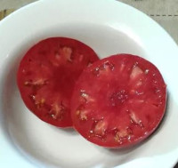 Томат Детвайлер