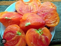 Томат Улыбка Кристины