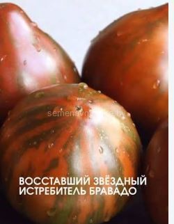 Томат ВЗИ Бровадо ( серия Гном )