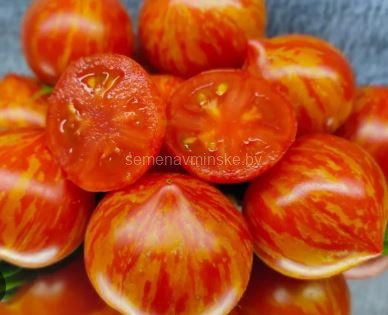 Томат Гендальф ( серия Гномы)