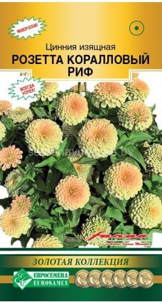 Цинния Розетта Коралловый Риф