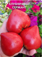 Томат Клубничный Сержант