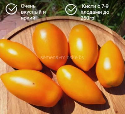 Томат Желтые Сливки от Борисовны