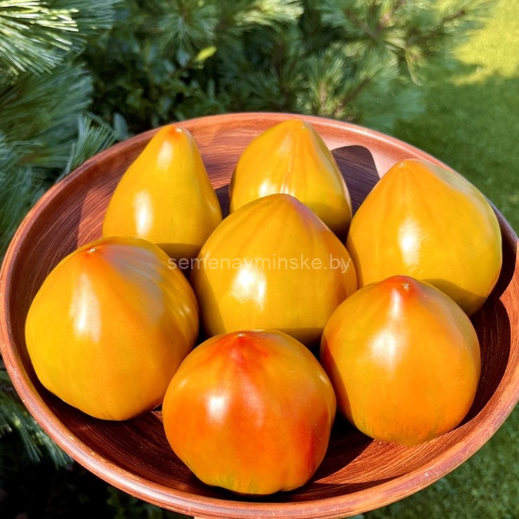 Томат Бронзовая Клубника