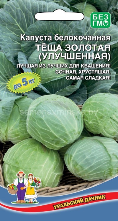 Капуста Теща Золотая ( улучшенная )