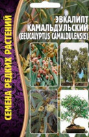 Эвкалипт Камальдульский