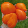 Томат Оранжевое Сердце от Анджелины