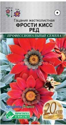 Гацания жестковатая Фрости Кисс Ред