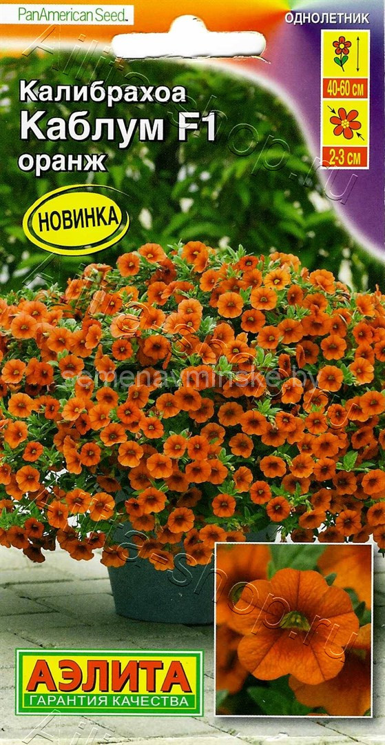 Купить Семена Калибрахоа Оптом