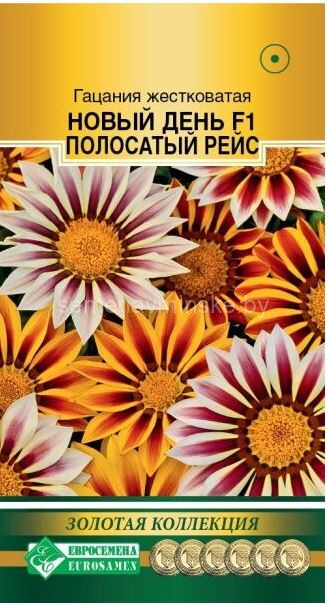 Гацания жестковатая F1 Полосатый Рейс