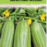 Огурдыня Салатный Мускат