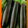 Баклажан F1 Король рынка
