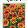 Гацания Дэйбрэк Бронзовая