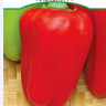 Перец Алексий F1