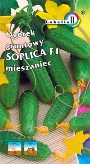 Огурец Соплица (Польша)