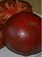 Томат Красный Океан