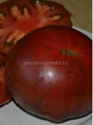 Томат Красный Океан