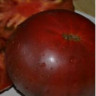 Томат Красный Океан