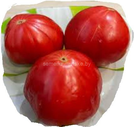 Томат Килограммовый из Гарфаньяны