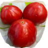 Томат Килограммовый из Гарфаньяны