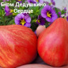 Томат ВЗИ Дедушкино Сердце ( Серия Гном )