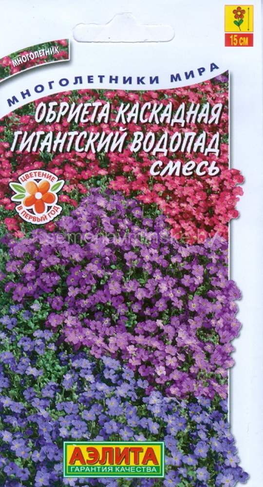 семена цветов купить в минске