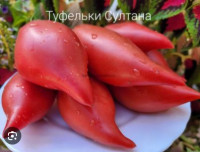 Томат Туфельки Султана