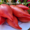 Томат Туфельки Султана